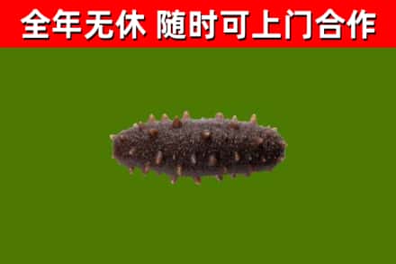 台南市烟酒回收干海参.jpg